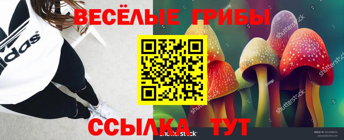 Коломна  Галлюциногенные грибы Magic Shrooms  Вход с VPN 